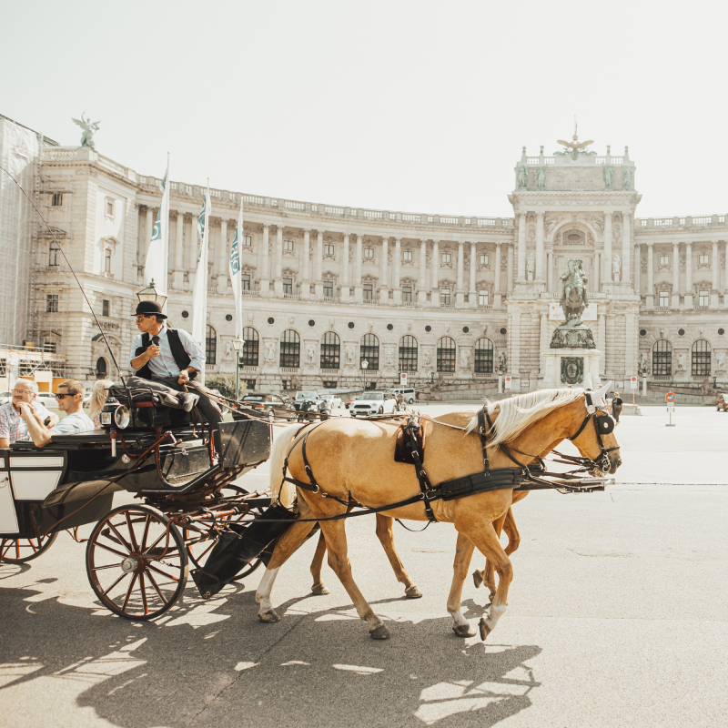 Riding horse in Vienna (1)